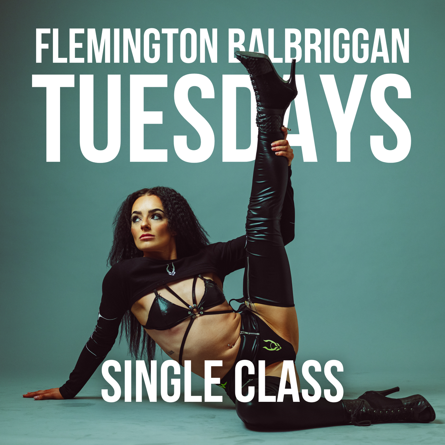 Tuesday 16th September Class Pass at Flemington Balbriggan