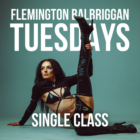 Tuesday 16th September Class Pass at Flemington Balbriggan